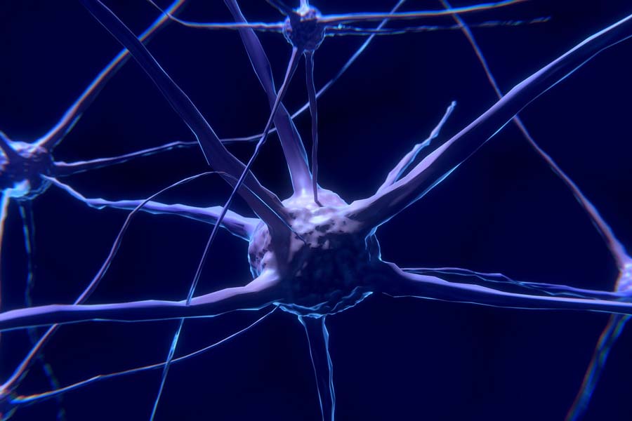 Desarrollan mejoras cognitivas